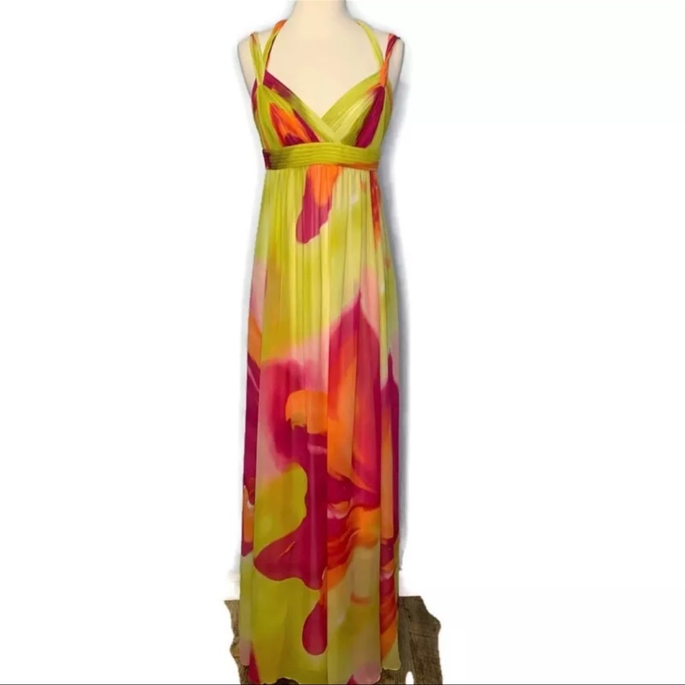 BCBG Max Azria Vibrant Multicolor Maxi Dress